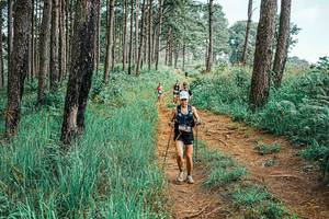 BIB: 
                            <button type="button" onclick="openModal(25655136)" class="btn btn-primary btn-sm float-right btn-popup" data-toggle="modal" data-target=".modal-high-quality">
                        <i class="fas fa-shopping-cart"></i> Add to Cart
                    </button>
                                            <button type="button" onclick="isThisMe(25655136, true)" class="btn btn-success btn-sm float-right btn-popup btn-isme hidden" data-toggle="tooltip" data-placement="bottom" title="นี่คือรูปของคุณใช่ไหม คลิกที่นี่เพื่อเอาเข้าอัลบั้ม">
                        <i class="fas fa-plus"></i> Add to album
                    </button>
                    <button type="button" onclick="isThisMe(25655136, false)" class="btn btn-warning btn-sm float-right btn-popup btn-isnotme hidden">
                        <i class="fas fa-ban"></i> Remove from album
                    </button>